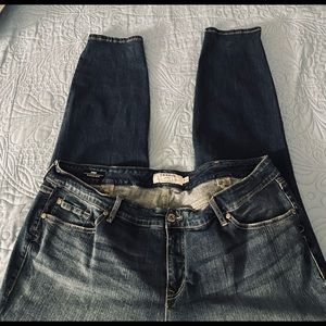 Torrid Skinny Jean